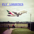 Cheapest air cargo rates freight forwarder shipping to  door to door FBA amazon logistics service